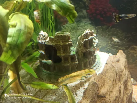 قلعه تزیینی آکواریوم کد RW178