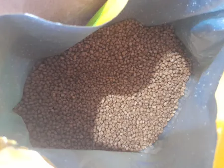 غذای خشک بچه گربه فیدار مدل کیتن وزن 10 کیلوگرم