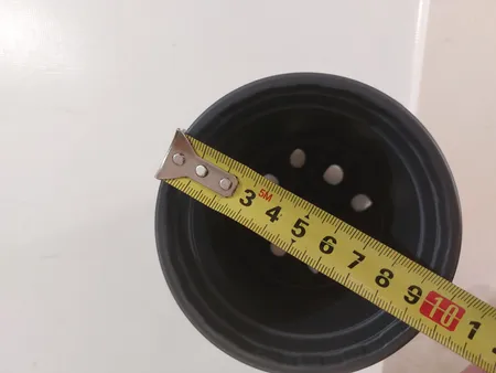 مجموعه 10عددی گلدان ژله ای سایز 10 ارتفاع 9 سانتی متر