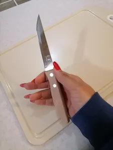 تجریه خرید چاقو آشپزخانه فنگ اند فنگ مدل دسته چوبی کد 2002