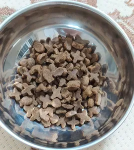 تجریه خرید غذای خشک گربه وی پت مدل بالغ وزن 10 کیلوگرم