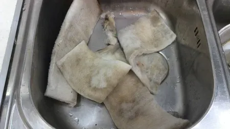 ابر فیلتر آکواریوم اکسیر مدل 61235 مجموعه 5 عددی