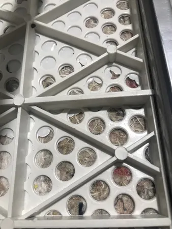 میز اتو هدیه سری یونی وان کد 310C