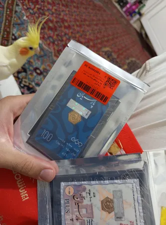 سکه گرمی 18 عیار پارسیان طلا و جواهر ویانا مدل 100