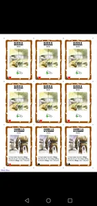 تجریه خرید بازی فکری دی وی جیوچی مدل Bang