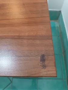 تجریه خرید میز جلو مبلی کد 19351