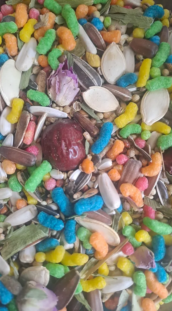 غذای طوطی کوکو پلاس مدل پروت وزن 1 کیلوگرم