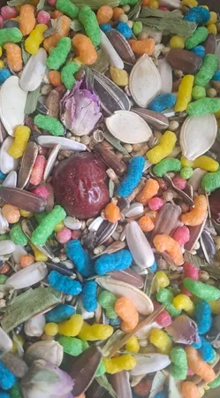 غذای طوطی کوکو پلاس مدل پروت وزن 1 کیلوگرم