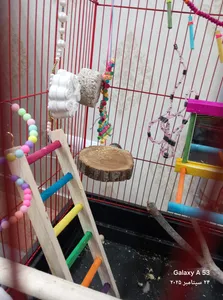 تجریه خرید سنگ بلوک معدنی پرندگان کد I200