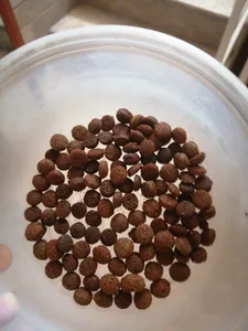 تجریه خرید غذای خشک گربه بالغ نوتری پت مدل 29Percent Pro مقدار 2 کیلوگرم