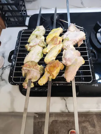 کباب پز روگازی صبا مدل رعنا