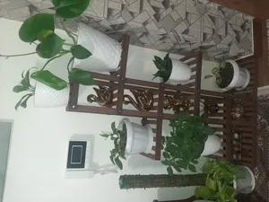 تجریه خرید استند گلدان مدل A06-B2