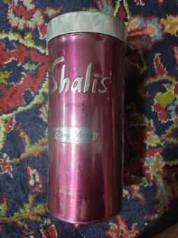 ادو پرفیوم زنانه رمی مارکوئیز مدل شالیز حجم ۱۰۰ میلی لیتر