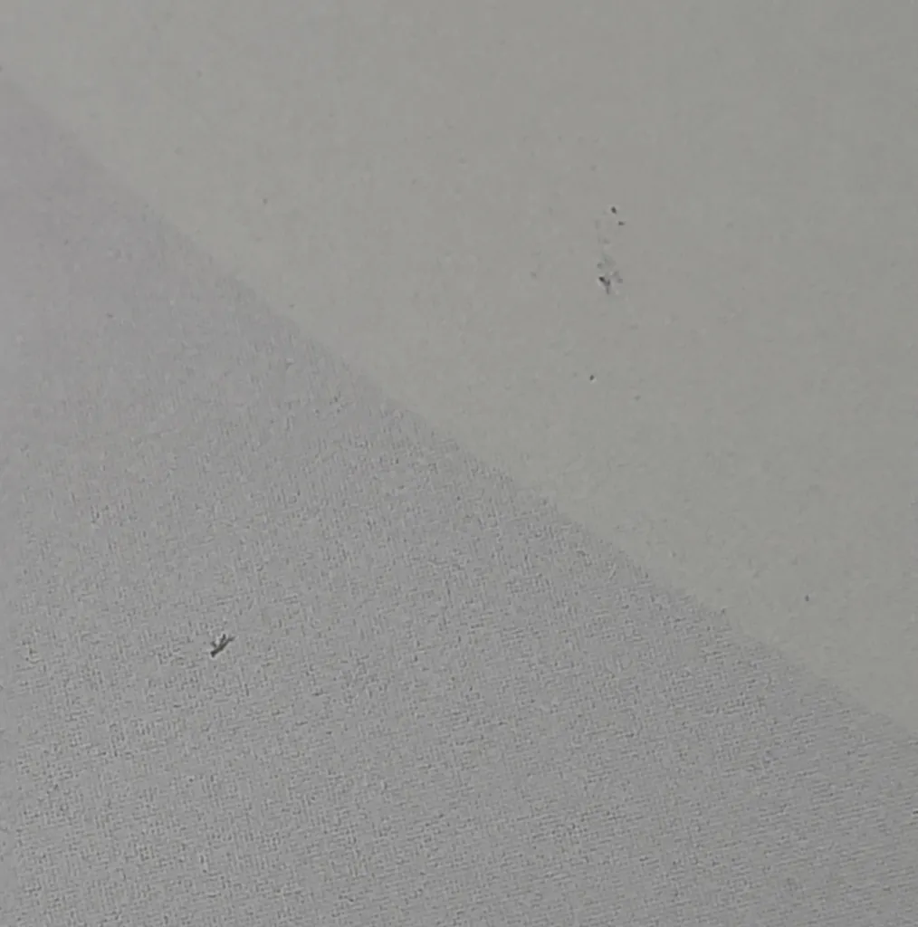 ساعت دیواری سال بردز مدل CW-165