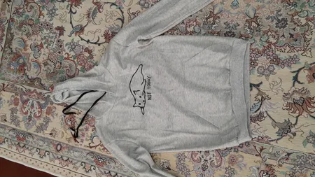 هودی زنانه طرح Not Today کد S361