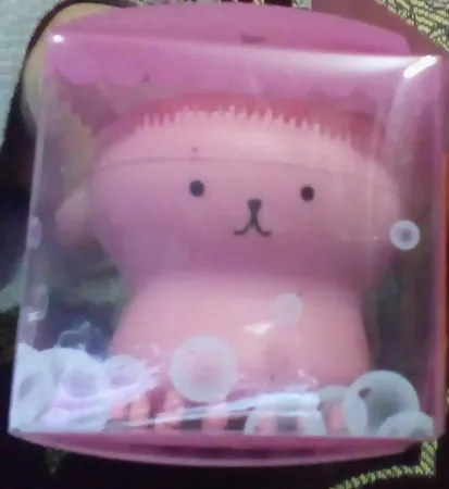 برس پاک‌سازی مدل B 0101