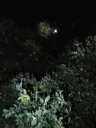 نورافکن دستی گوسونیک کد GSL-299