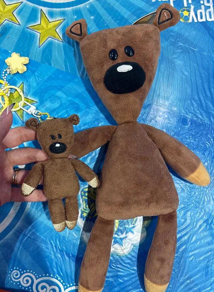 جاکلیدی مدل خرس مستربین طرح تدی