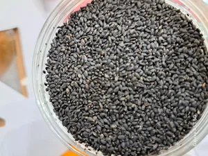 تجریه خرید تخم شربتی درشت ممتاز سرمد - 500 گرم