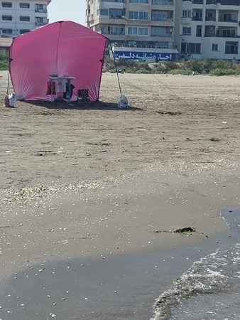 سایه بان سفری موفلان مدل F01