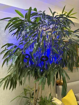 چراغ رشد گیاه 40 وات مدل Quad Circle