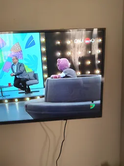 محافظ صفحه نمایش تلویزیون مدل SP-43 مناسب برای تلویزیون 43 اینچی