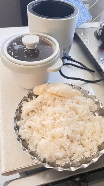 پلوپز 2 نفره مدل KH5511