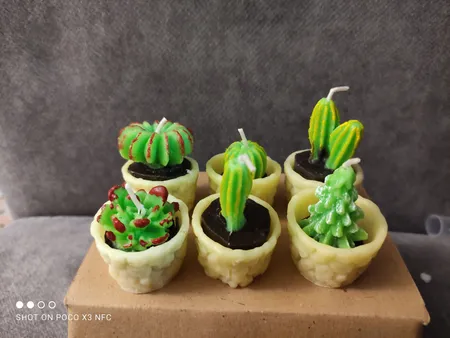 شمع طرح کاکتوس مجموعه 6 عددی