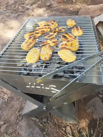 منقل تاشوسفری مدلBraner