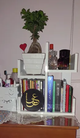 کتابخانه رومیزی مدل کاکتوس