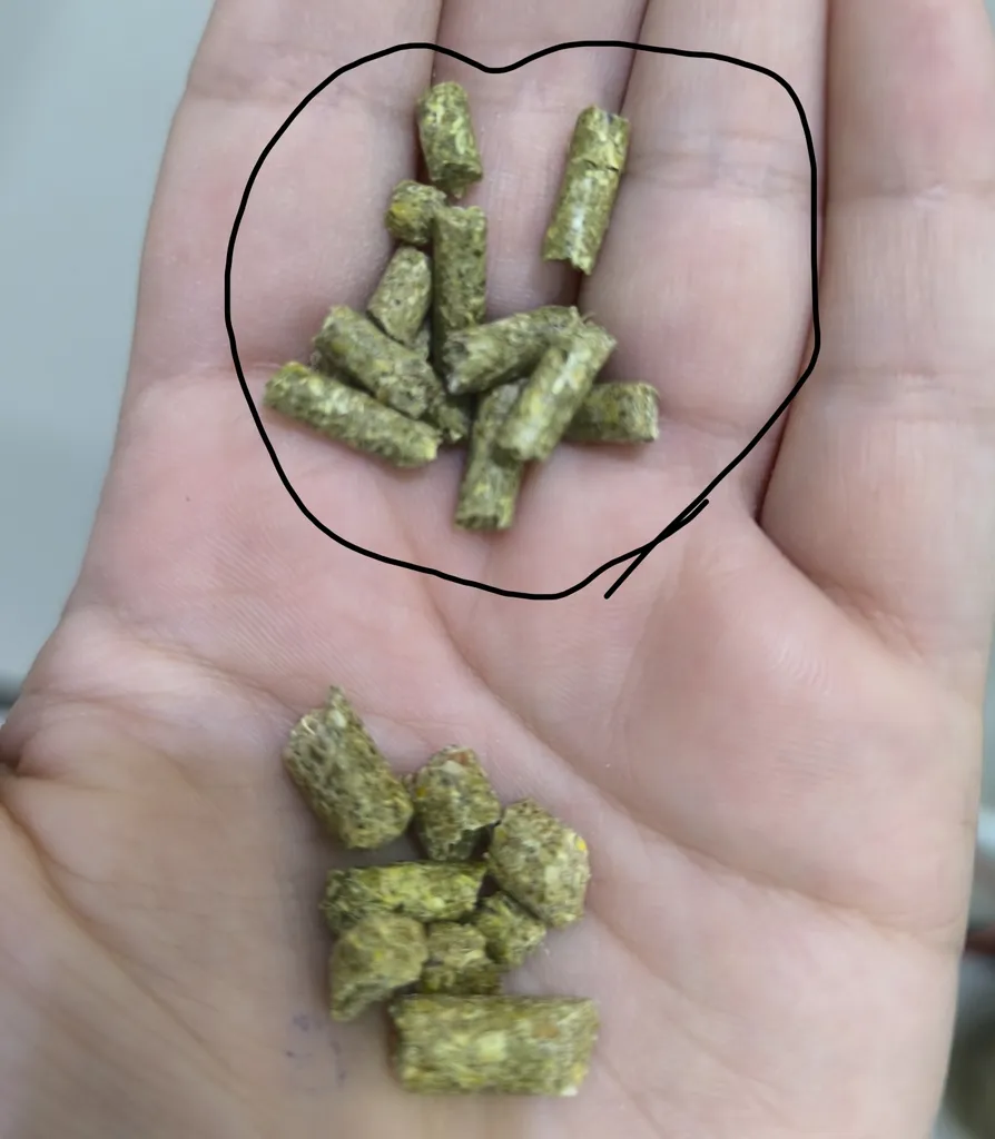 غذای خشک خرگوش و خوکچه هندی مدل پلت با طعم جعفری وزن 1000 گرم