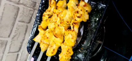 کباب پز روگازی صبا مدل رعنا