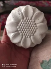 تجریه خرید سنگ کلسیم جوندگان زوریچ مدل 0113 وزن 80 گرم