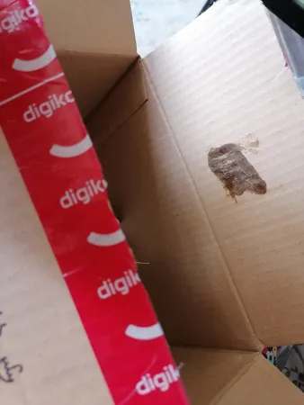 ژل شستشو صورت الیوکس مدل 03 حجم 200 میلی لیتر