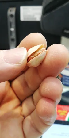 پسته احمدآقایی بوداده پستاکو - 500 گرم