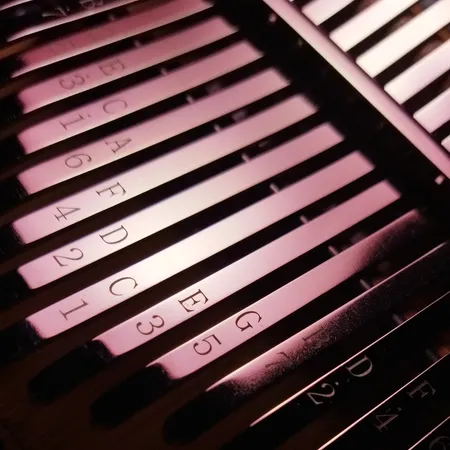 کالیمبا جکو مدل K17Ba