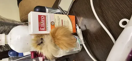 کرم ضد آفتاب رنگی الارو مدل SPF50 محافظ UVA ،UVB، ضد چروک، مناسب انواع پوست تحت لیسانس حجم 50 میلی‌لیتر