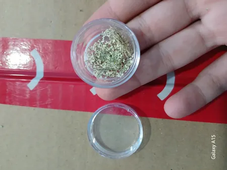 گل خشک مدل شوکران wt بسته 10 عددی