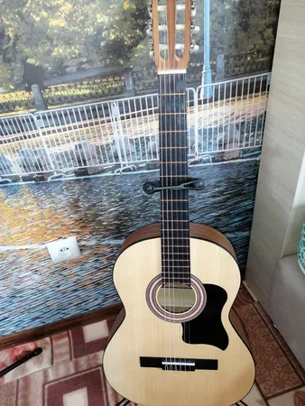 گلپیدور گیتار مدل B050