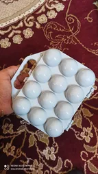جا تخم مرغی پارسه مدل 12تایی