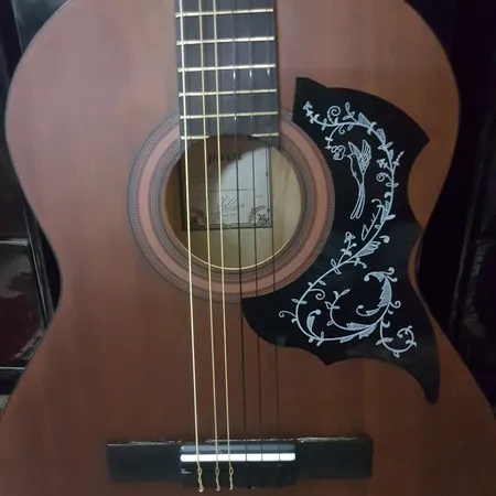 سیم گیتار کلاسیک مدل C800 Criterion