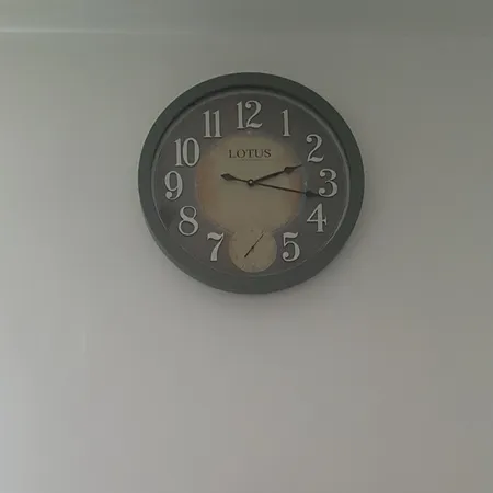 ساعت دیواری لوتوس مدل 8842