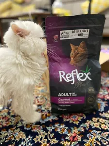 تجریه خرید غذای خشک گربه رفلکس مدل Gourmet with chicken وزن 1.5 کیلوگرم