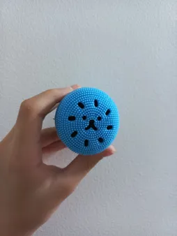 برس پاک کننده صورت مدل 203 مجموعه 2 عددی