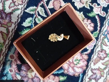 آویز گردنبند طلا 18 عیار زنانه طلای مستجابی مدل طاووس کد72