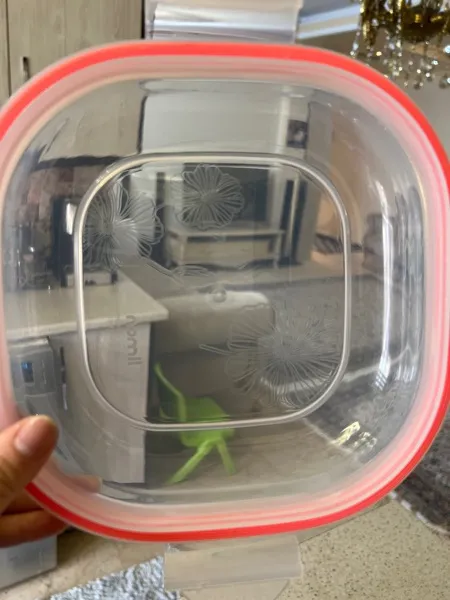 ظرف نگهدارنده لیمون کد 2006