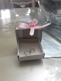 پیرسینگ بدن زنانه پایتخت مدل PS230 مجموعه 2 عددی