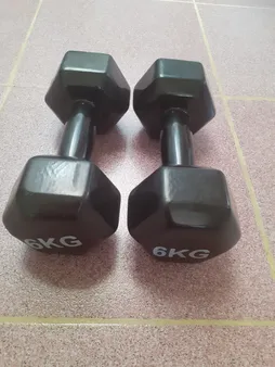 دمبل ایروبیک رکورد کد 1621 وزن 6 کیلوگرم بسته 2 عددی