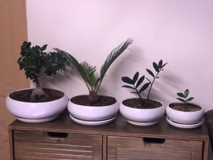 تجریه خرید وال واشر رشد گیاه 36 وات مدل W