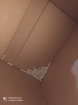 مروارید مدل W بسته 100 عددی